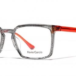 Xavier García Gabo. - Imagen 1